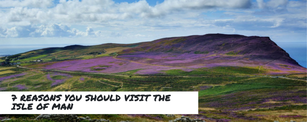 A beautiful vista - with fields and hills covered in colourful heather